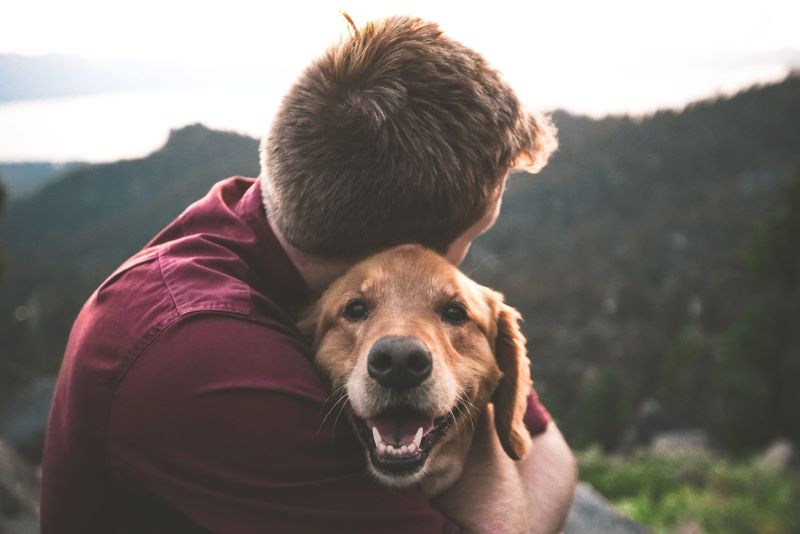 How Your Pet Can Boost your Wellbeing